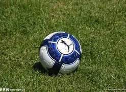 明星助力抗,韩红,邓伦,江南体育平台,江南体育官方网站,江南体育登录入口,江南体育app下载