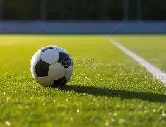 河南排球新,篇章,全运会与豫,江南体育平台,江南体育官方网站,江南体育登录入口,江南体育app下载