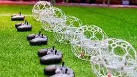 江南体育 资讯 101901 0bk