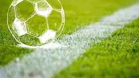 大坂直美因伤退赛奥克兰赛事决赛，错失夺冠良机