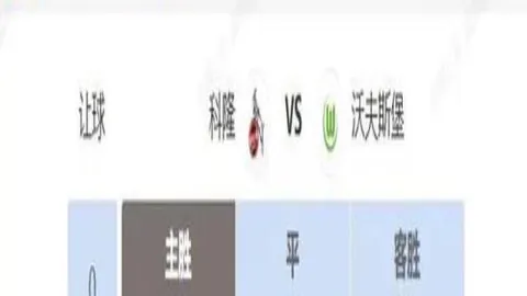 鲁能外援韩鹏再犯相似错误新援登场成疑问